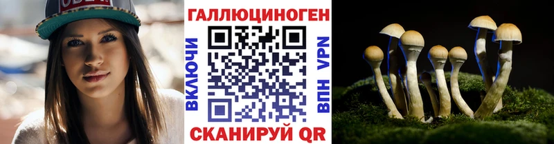 Галлюциногенные грибы Psilocybe  Кувандык 